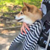 Thumbnail of related posts 103
