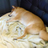 Thumbnail of related posts 062
