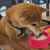 Thumbnail of related posts 011