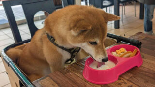 Thumbnail of post image 089