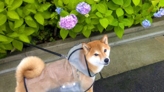 Thumbnail of post image 124