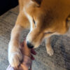 Thumbnail of related posts 004
