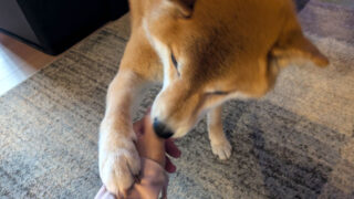 Thumbnail of post image 027