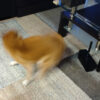 Thumbnail of related posts 032