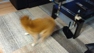 Thumbnail of post image 001