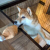 Thumbnail of related posts 039