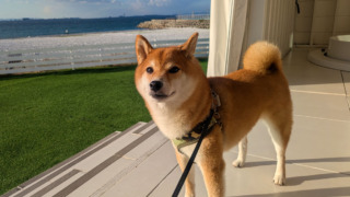 Thumbnail of post image 079