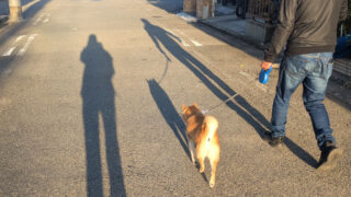 Thumbnail of post image 046