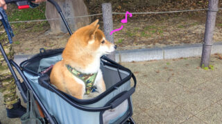 Thumbnail of post image 029