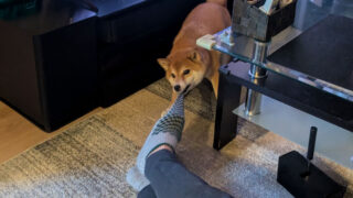 Thumbnail of post image 071