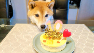 Thumbnail of post image 085