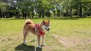 Thumbnail of post image 144