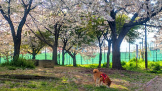 Thumbnail of post image 086