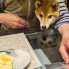 Thumbnail of related posts 173