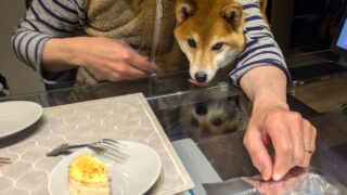 Thumbnail of post image 134