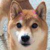 Thumbnail of related posts 159