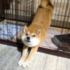 Thumbnail of related posts 169